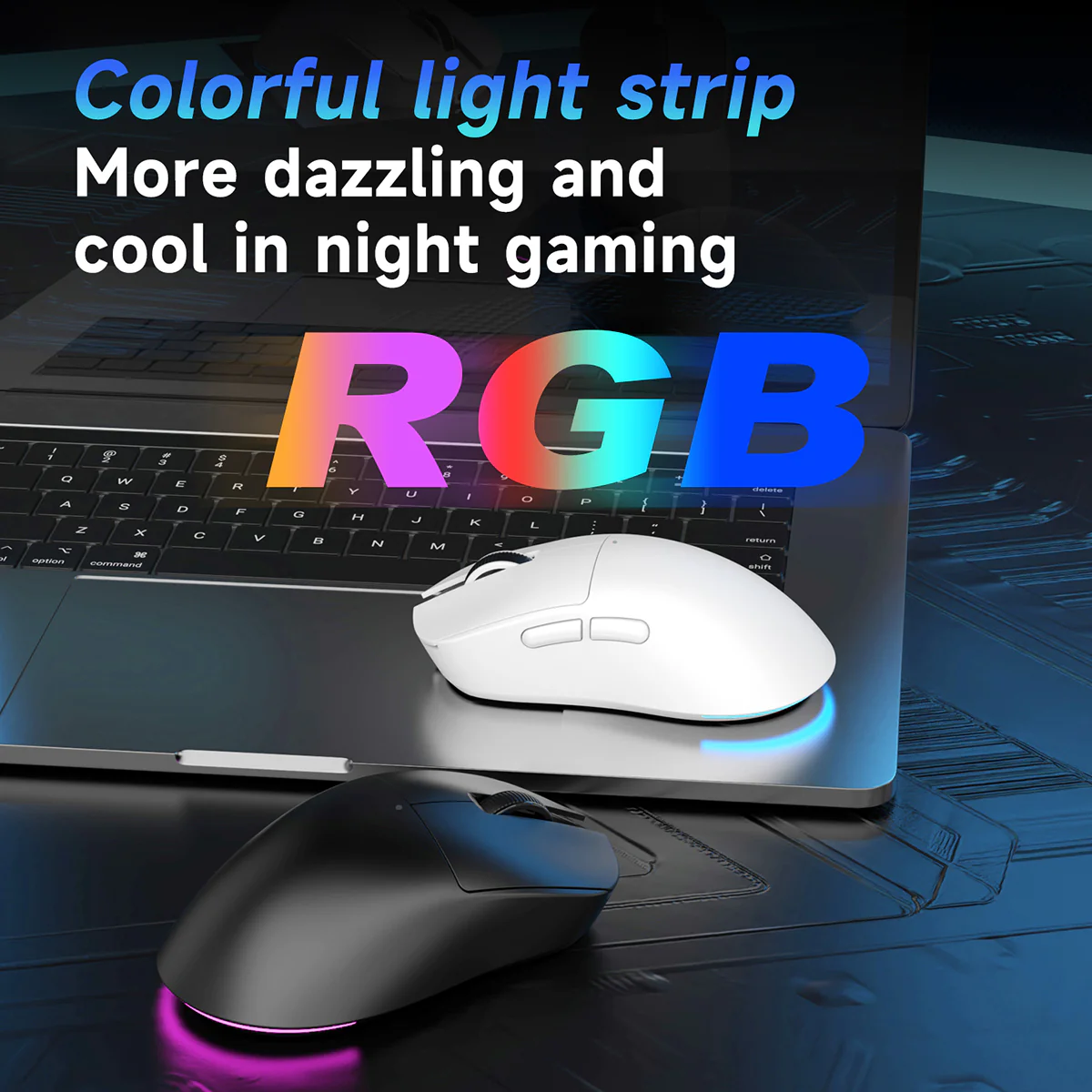 Thumbnail 11